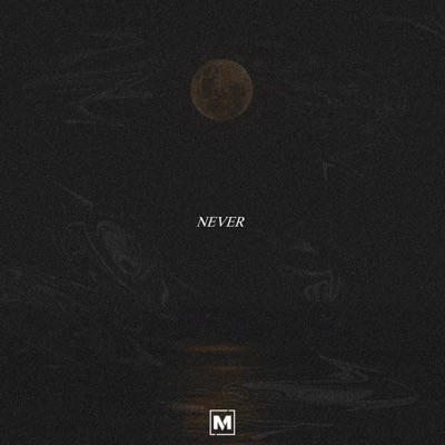 NEVER (feat. Mari) - Single