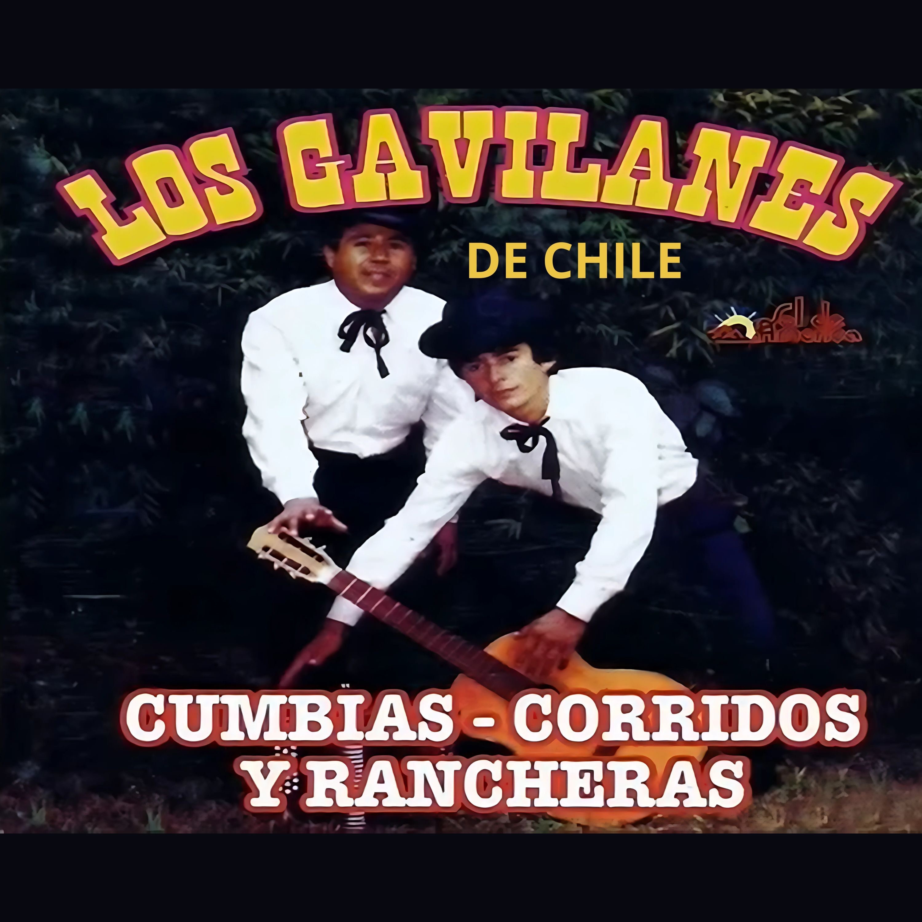 Los Gavilanes (de Chile) - Cuando Vayas a Mi Tumba