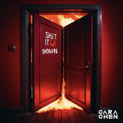 Shut it Down - Single