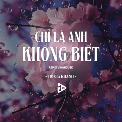 Chỉ Là Anh Không Biết (Remix Vinahouse) - Single