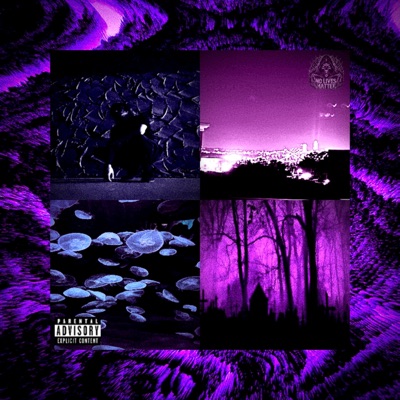 Self Destruction - EP