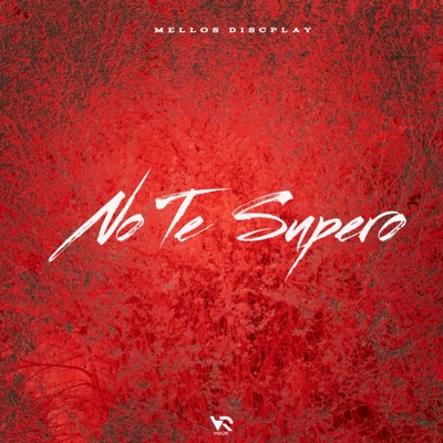 No Te Supero (feat. Big Deivis) - Single