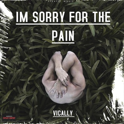 IM Sorry For the Pain - Single