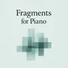 Faramarz Asadi - Silent Fragment