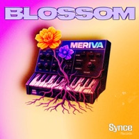 Blossom - Single - Meriva
