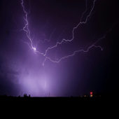 YOU CAN ASK THE FLOWERSYOU CAN ASK THE FLOWERS (HORROR MIX) song art