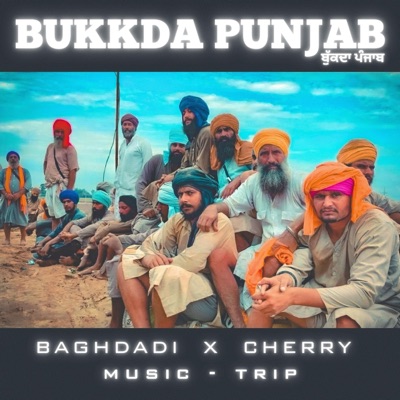 Bukkda Punjab (feat. Cherry) - Single