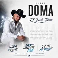 LLORA & LLORA — EL JINETE TIPICO
