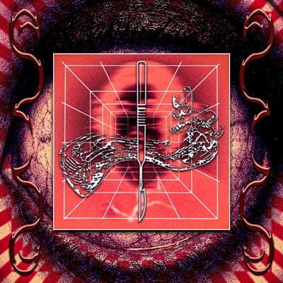 Ya no espero mucho de nadie - Single