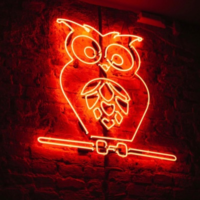 Fliegen mit der Eule (feat. Persen) - Single