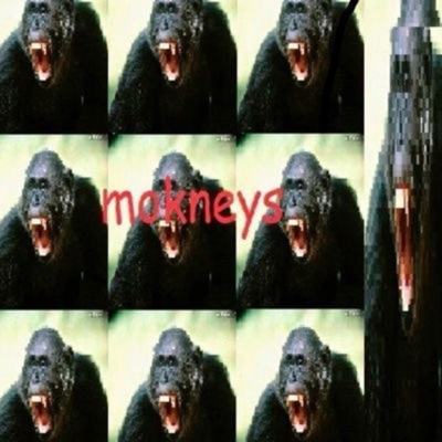 Mokneys!!!