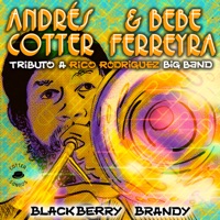 Blackberry Brandy - Single - Andrés Cotter & Bebe Ferreyra