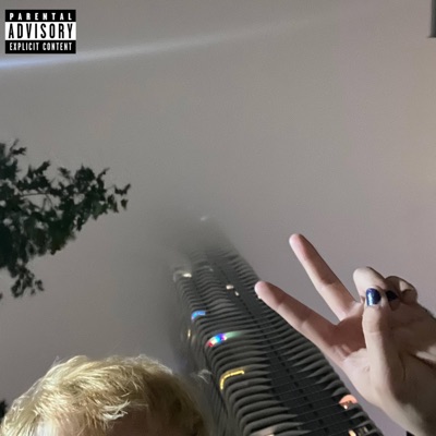 Imperfectionist - Single