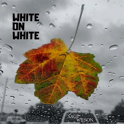 White On White - Single