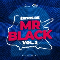Éxitos De Mr Black Vol. 2 - Rey De Rocha & Mr Black El Presidente