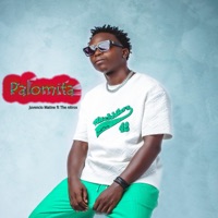 Palomita (feat. The Nitrox) - Single - Juvencio Matine