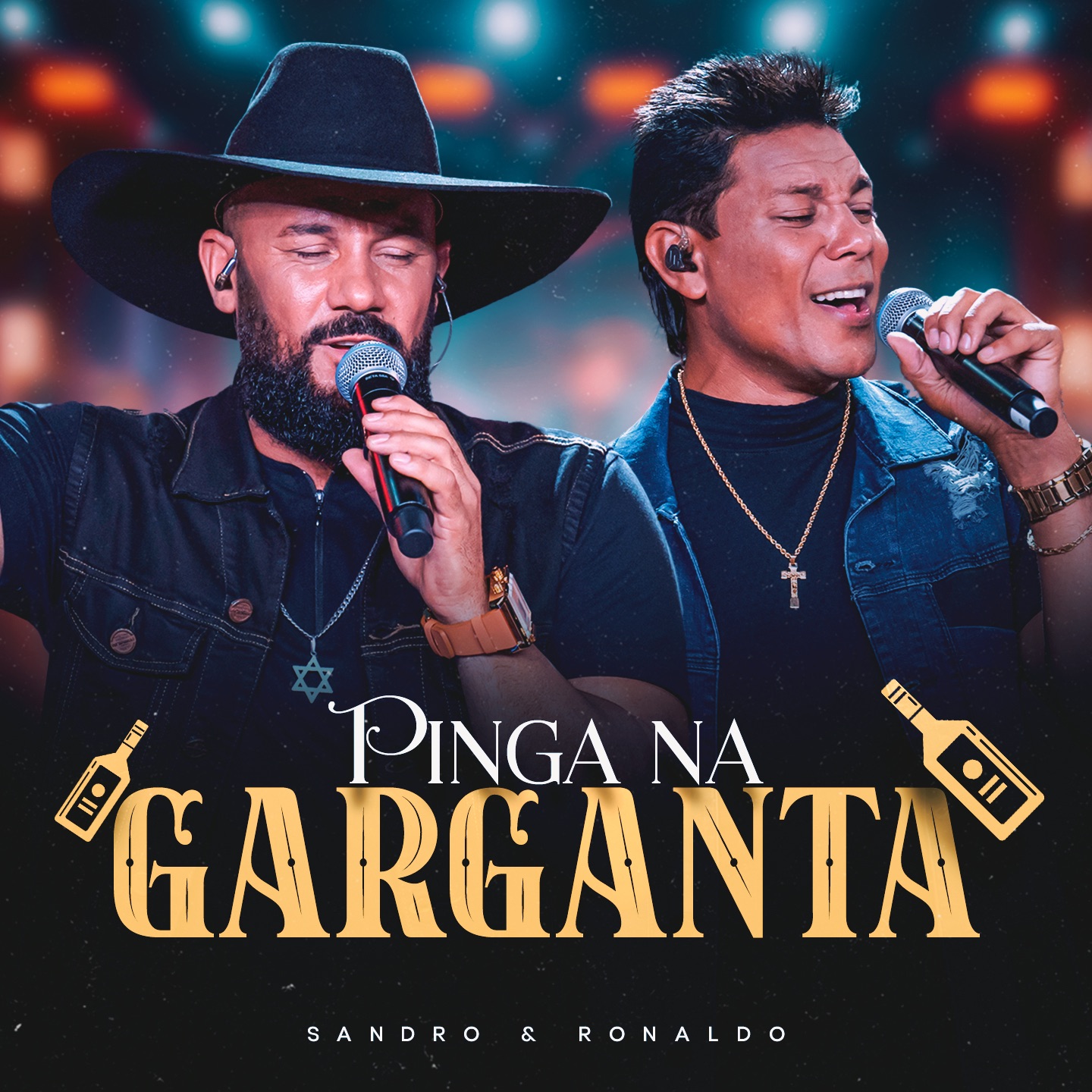 Pinga Na Garganta (Modão e Paixão, Ao Vivo) - Single