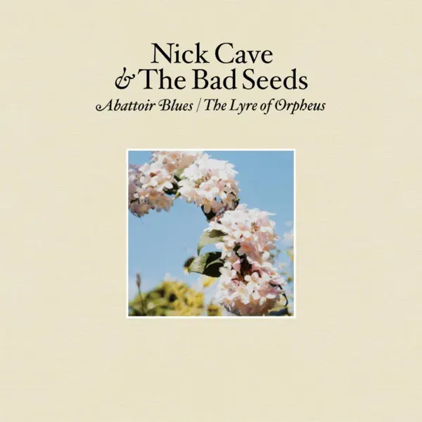 Nature Boy — Nick Cave & The Bad Seeds