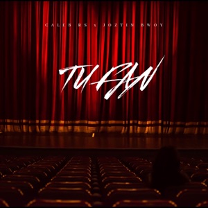 Tu Fan