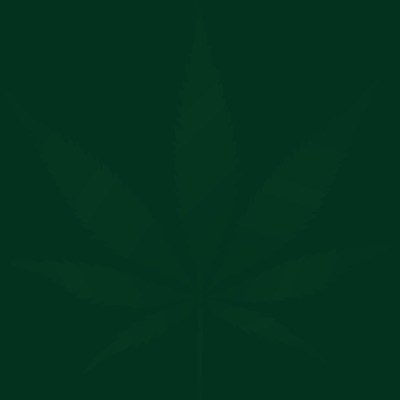 Green Plants - Single