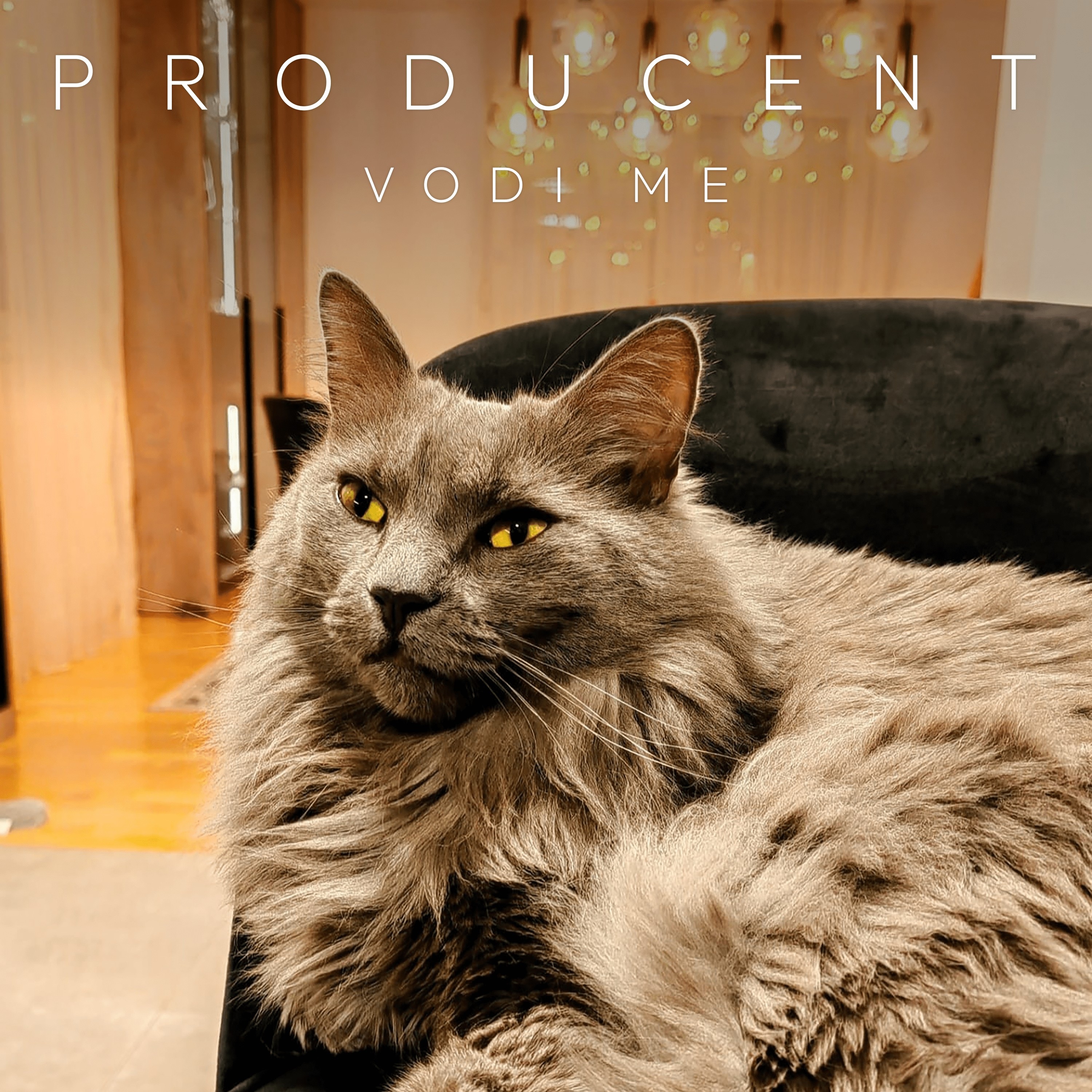 PRODUCENT - VODI ME