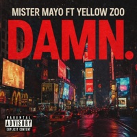 Damn (feat. Yellow Zoo) - Single - Mister Mayo