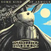 Some Kind of Armour — Satellite Birdhouse