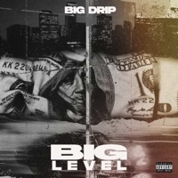 BIG LEVEL - Single - Big Drip