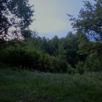 i'm gonna miss you - Single - nesfot, FTZmusic & your home