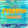 Steppin Remix - Single