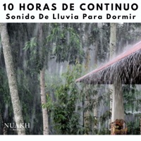 10 Horas De Sonido De Lluvia Para Dormir - White Noise Radiance & Medicina Relajante
