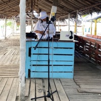 Marketing - Single - Ley