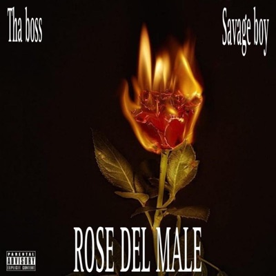 ROSE DEL MALE (feat. Savage boy) - Single