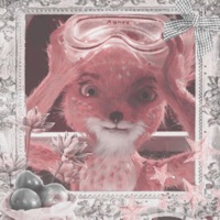 Fantastic Mr Fox - Single - Alazko