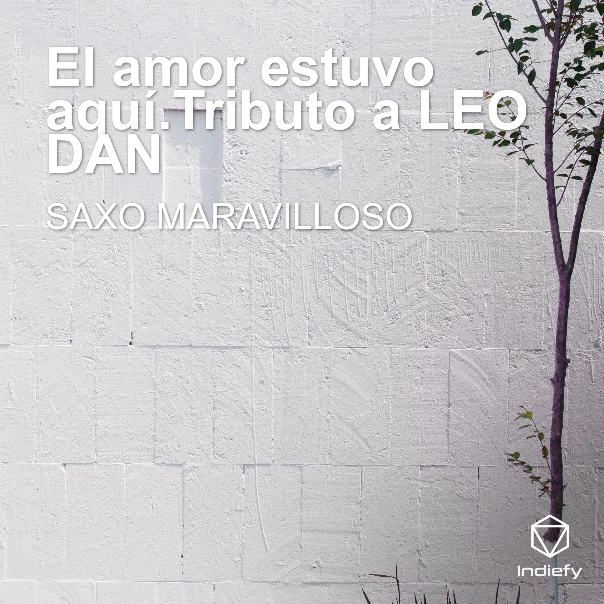 El Amor Estuvo Aquí. Tributo a Leo Dan (Cover) - Single