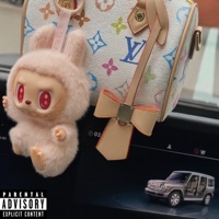 Луи і Лабубу - Single - Fiamma & flowflow3r