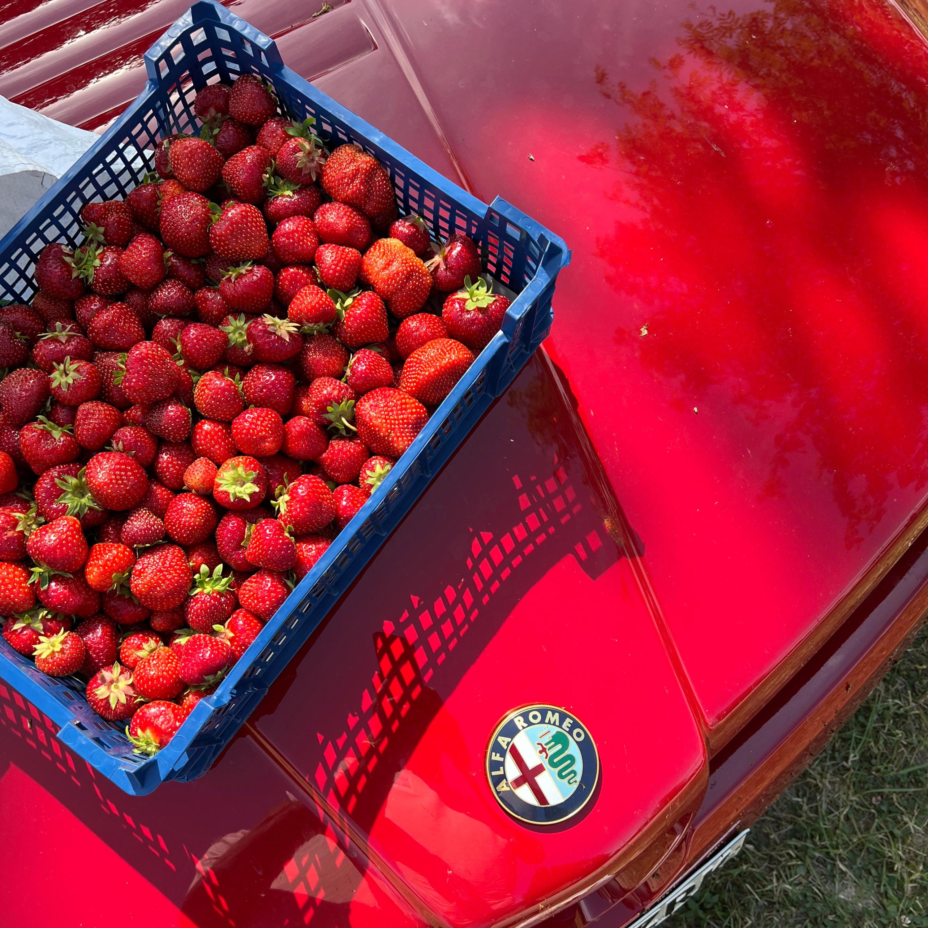 Ei Keegi Saa Röövida Me Suve - Single