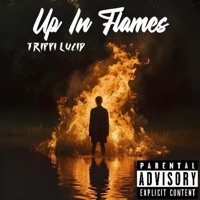 Up In Flames - Trippi Lucid