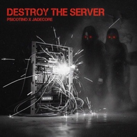 DESTROY THE SERVER Psicotino & Jadecore