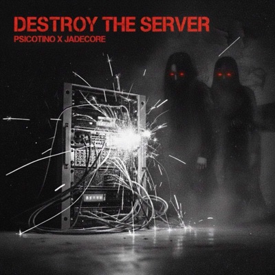 DESTROY THE SERVER