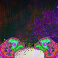 ON THE PRECIPICE - JRDN