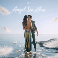 Ángel Sin Alas
