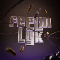 Feelin Lyk - Single - dyco & $NPRD