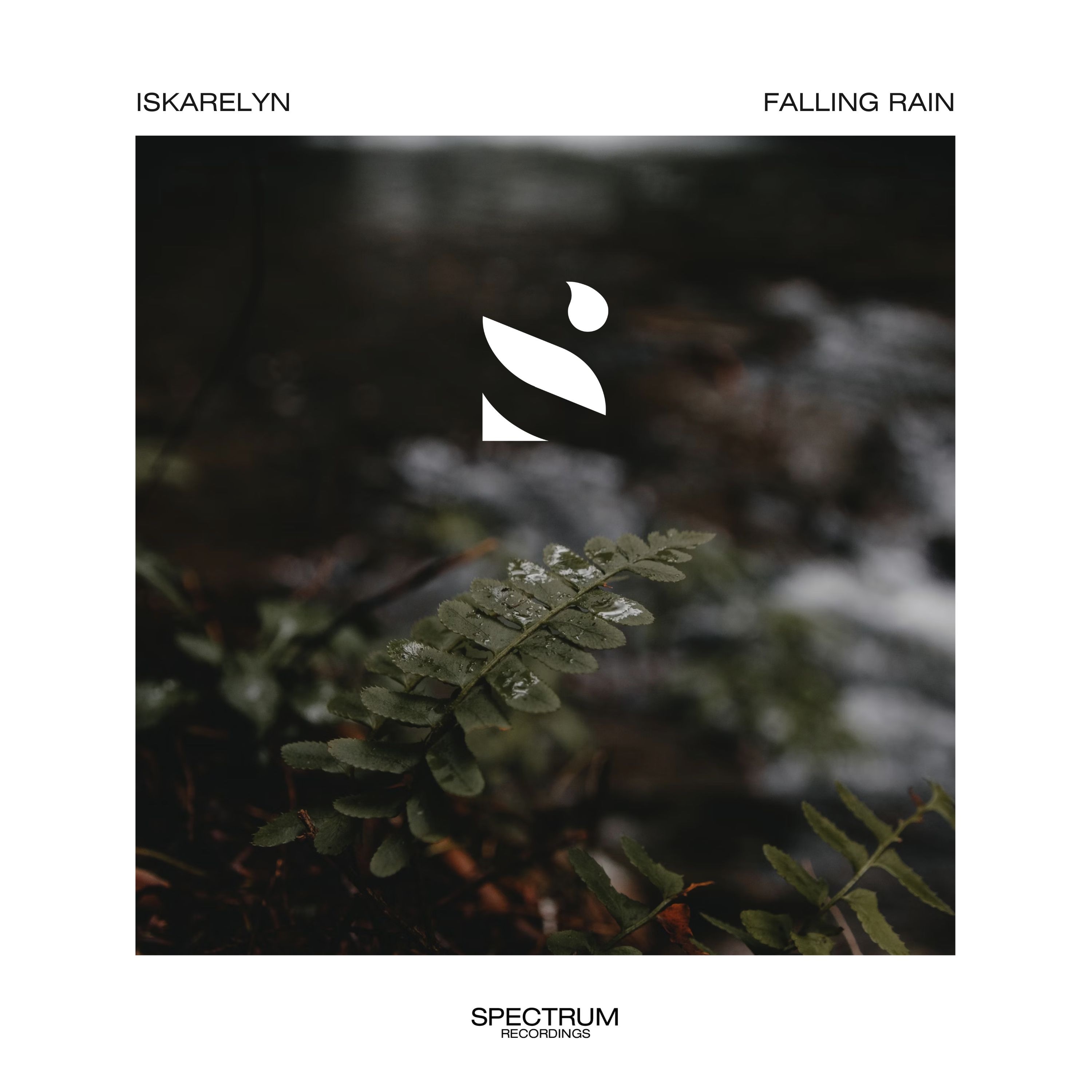 Falling Rain - Single