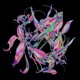 Momentum Extended Mix Single