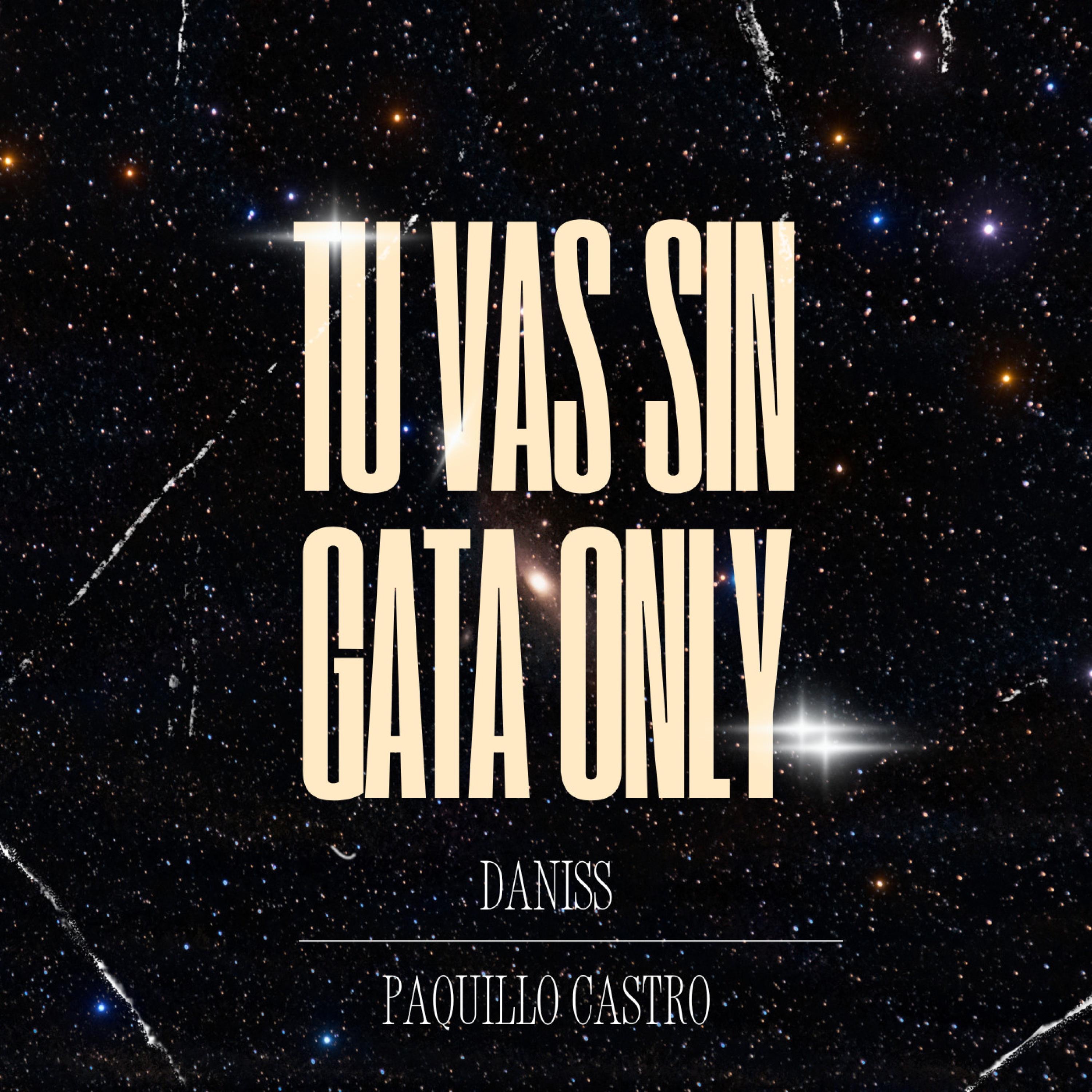 Tu Vas Sin Gata Only (Mashup) - Single