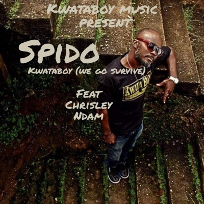 Kwataboy (we go survive) (feat. Chrisley Ndam) - Single