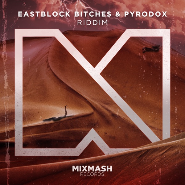 Riddim - Single