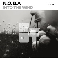 Into the Wind - Single - N.O.B.A