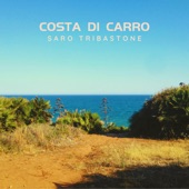 Costa di Carro artwork